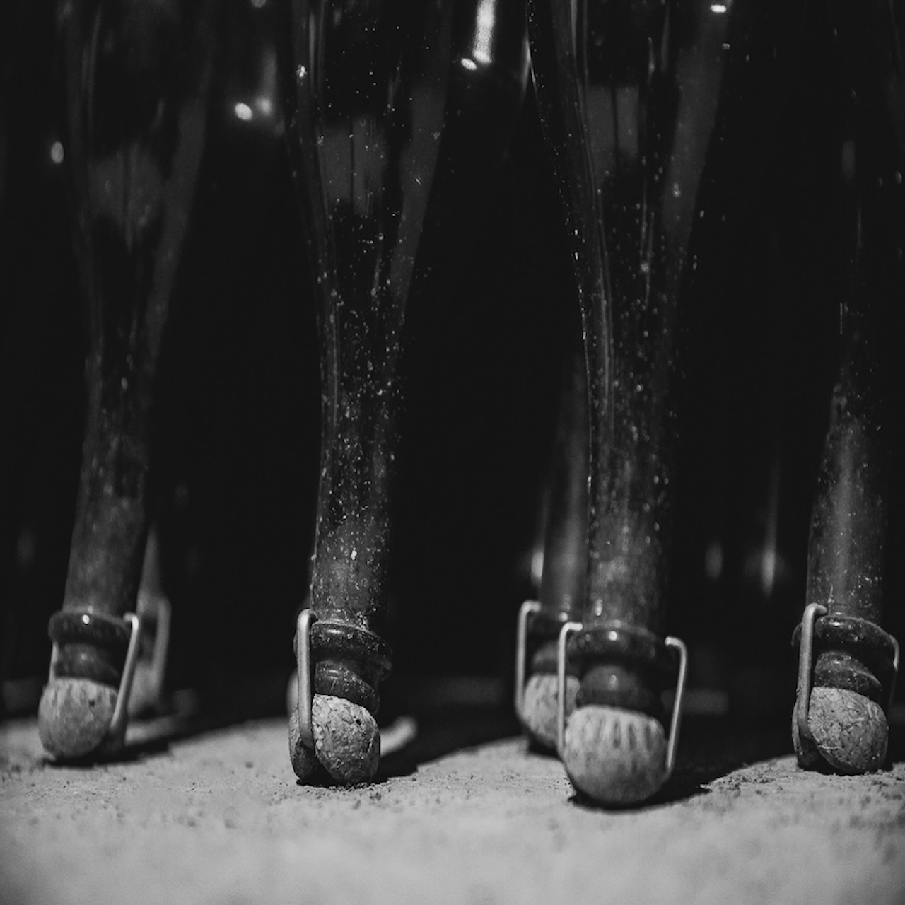 gallery_vertical_0